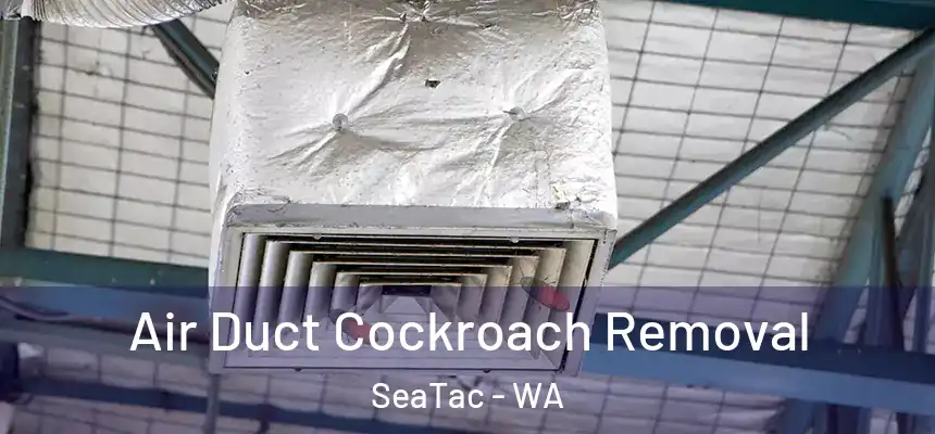 Air Duct Cockroach Removal SeaTac - WA