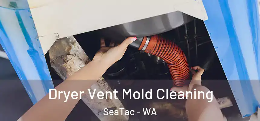  Dryer Vent Mold Cleaning SeaTac - WA