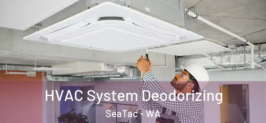  HVAC System Deodorizing SeaTac - WA