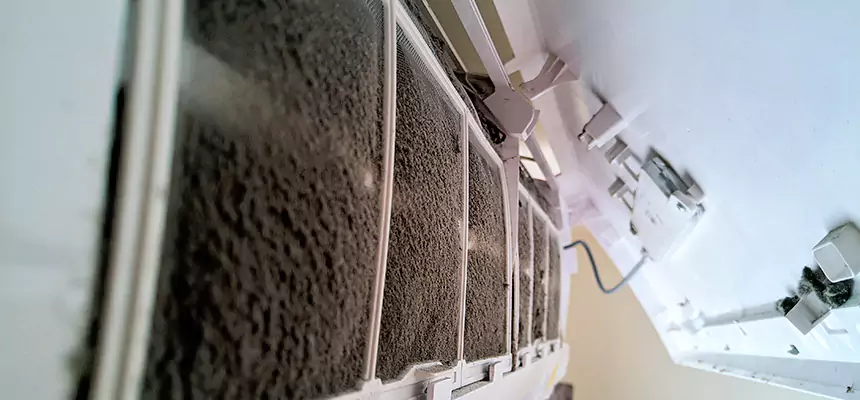 Preventive Air Duct Bacteria Removal in SeaTac