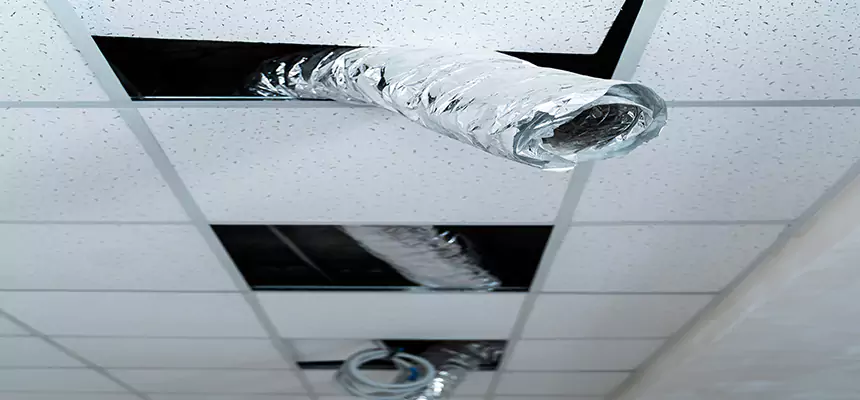 Our Air Duct Pet Hair Removal Services in SeaTac, WA