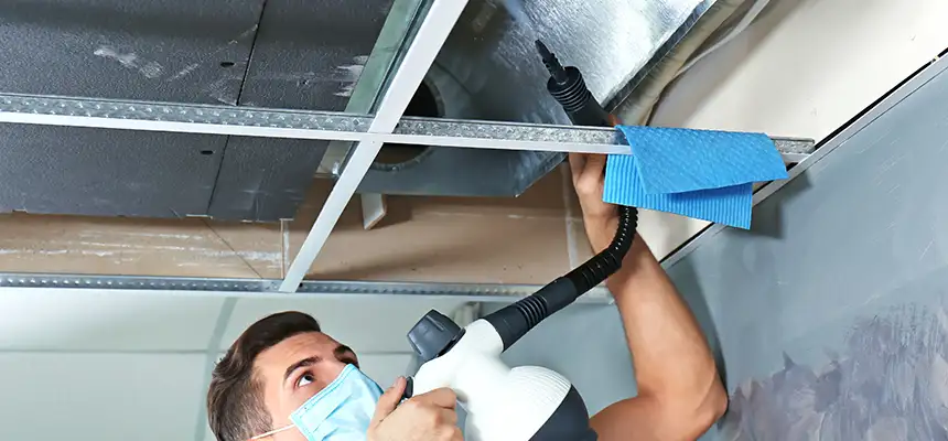 Our Air Duct Rodent Removal Services in SeaTac, WA