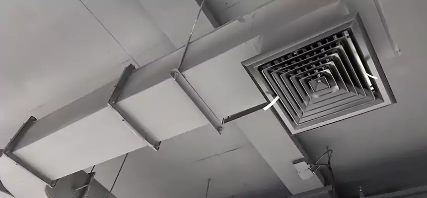 Restorative Allergy Relief Vent Cleaning – Coil, Blower & Housing Detail in SeaTac