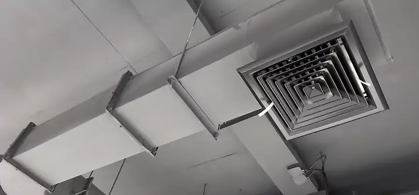 Our Pest Removal From Ducts Services in SeaTac, WA