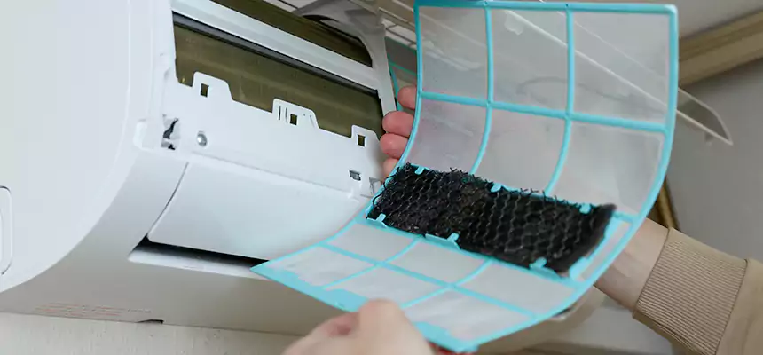 Gentle Ductwork Odor-Control Pet Dander Duct Cleaning in SeaTac, WA