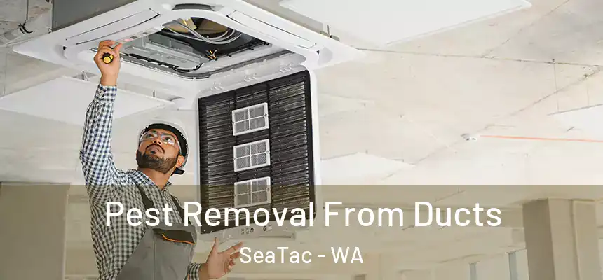 Pest Removal From Ducts SeaTac - WA