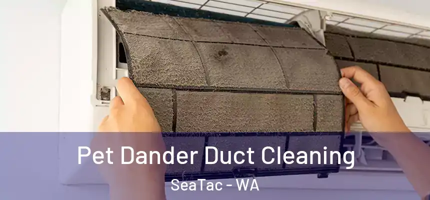  Pet Dander Duct Cleaning SeaTac - WA
