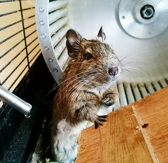 Why Homeowners & Businesses Trust Us SeaTac, WA