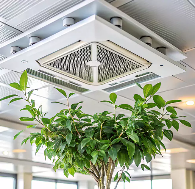 Why Homeowners & Businesses Trust Us in SeaTac, WA