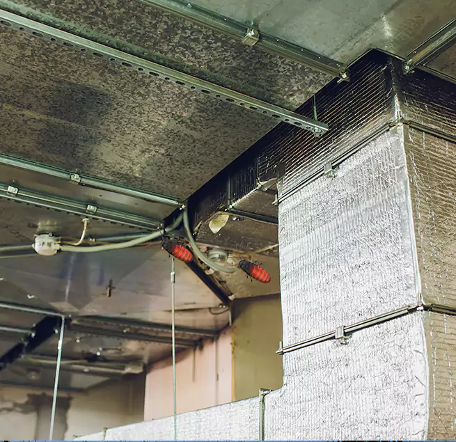 Why Homeowners & Businesses Trust Us SeaTac, WA?