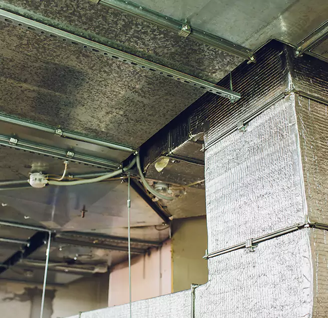 Why Homeowners & Businesses Trust Us in SeaTac, WA?