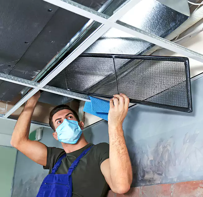 Why Homeowners Businesses Trust Us in SeaTac, WA