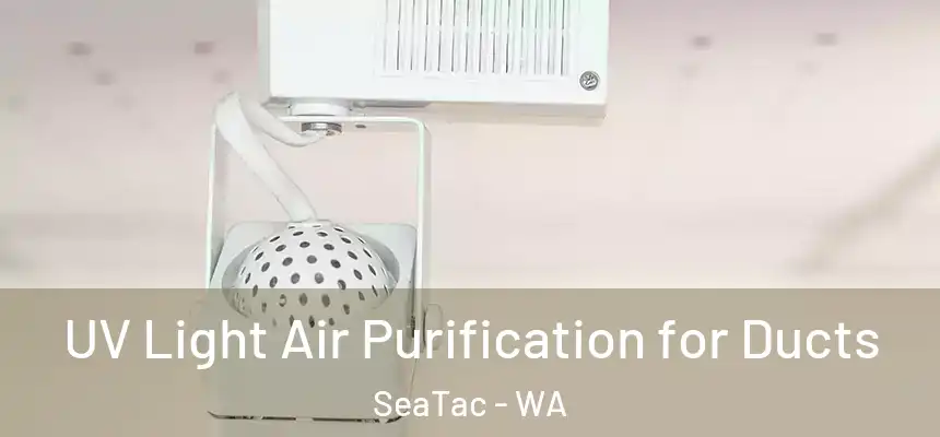  UV Light Air Purification for Ducts SeaTac - WA